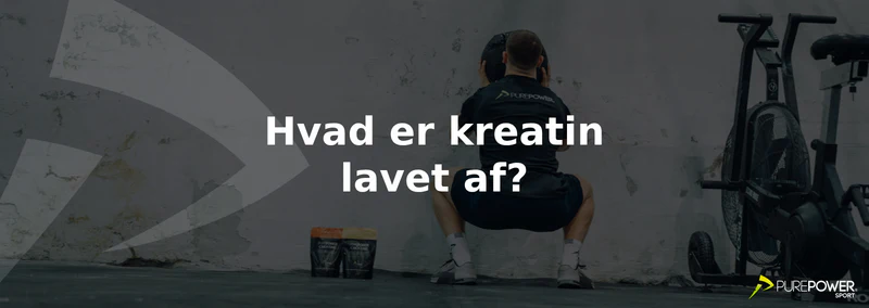 hvad-er-kreatin-banner-forklaring